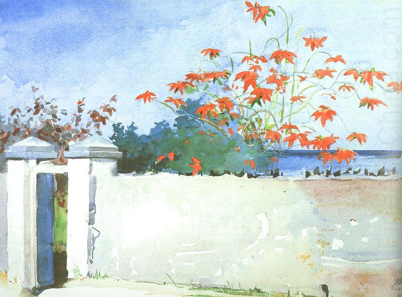 A Wall, Nassau, Winslow Homer